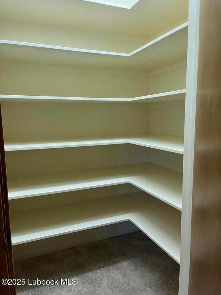103 Yucca Terrace Plainview, TX 79072 - Photo 54 of 79 a view of walk in closet with empty racks