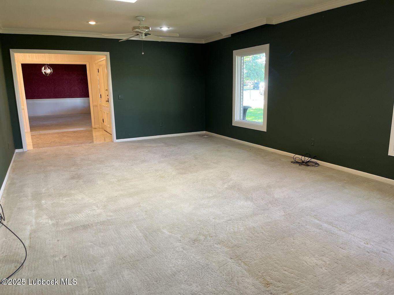 103 Yucca Terrace Plainview, TX 79072 - Photo 10 of 79 9