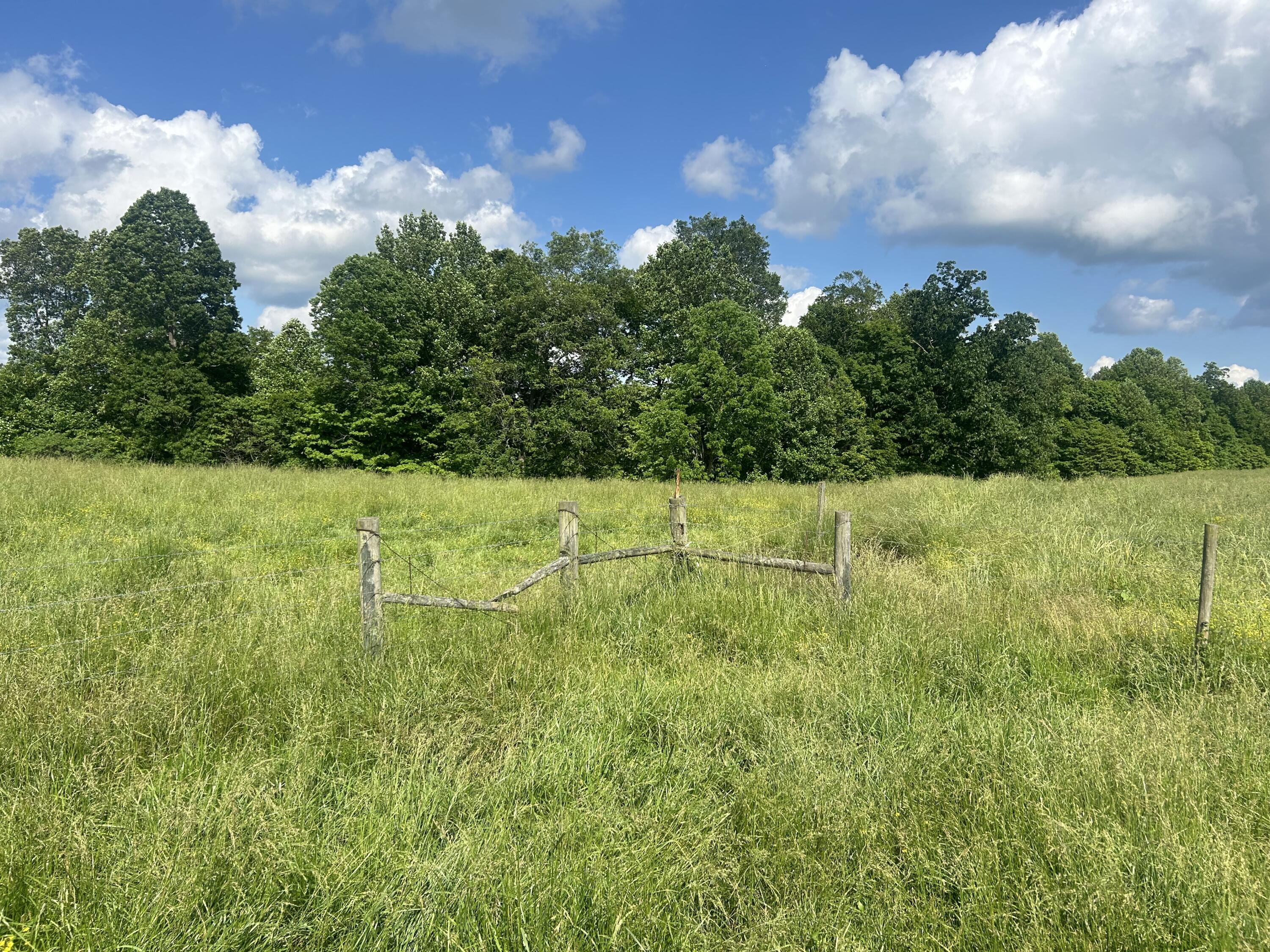 9999 Gosser Ridge Road Russell Springs, KY 42642 - Photo 28 of 42 FArm Russell 24