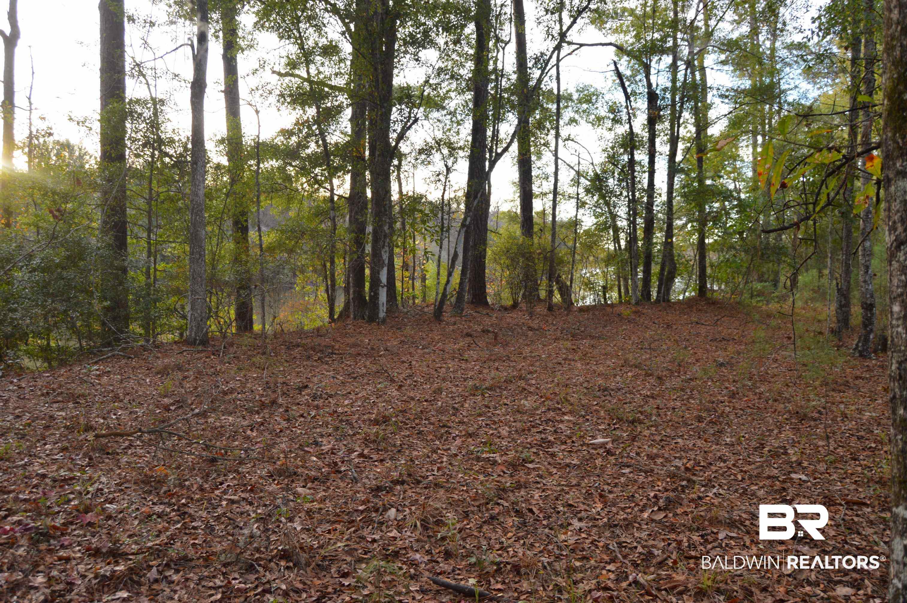 8 Marlin Street Stockton, AL 36579 - Photo 8 of 12 View of tree filled area