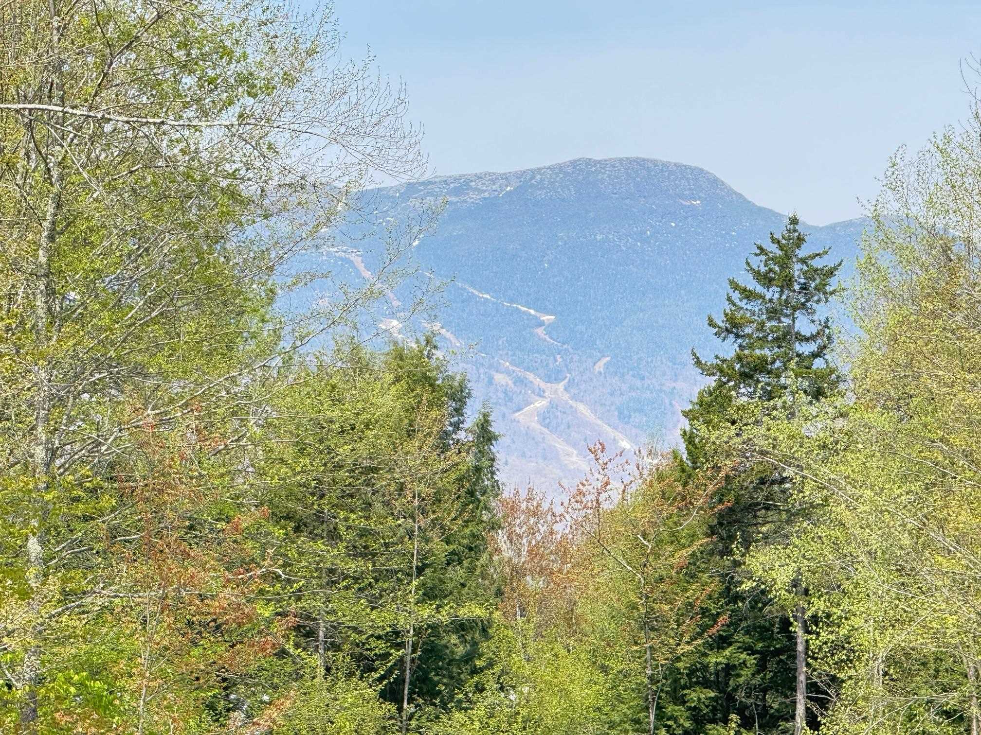 2366 Mountain Road, Unit 3 Stowe, VT 05672 - Photo 2 of 28