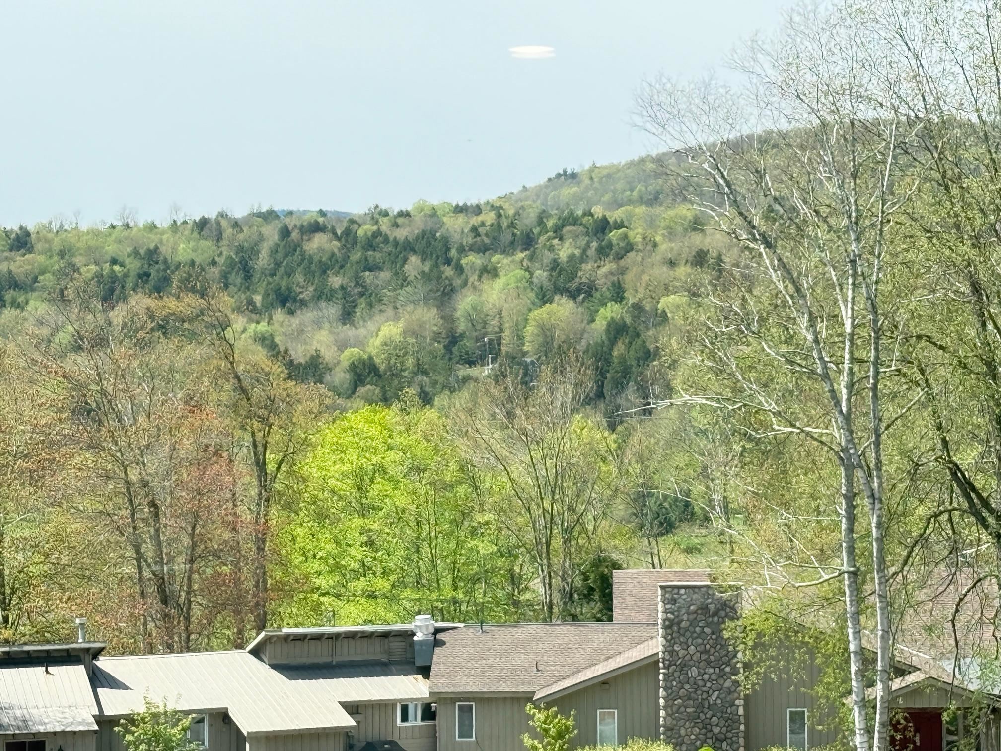 2366 Mountain Road, Unit 3 Stowe, VT 05672 - Photo 3 of 28