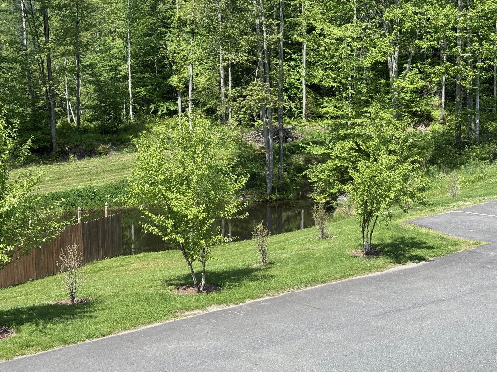 2366 Mountain Road, Unit 3 Stowe, VT 05672 - Photo 6 of 28