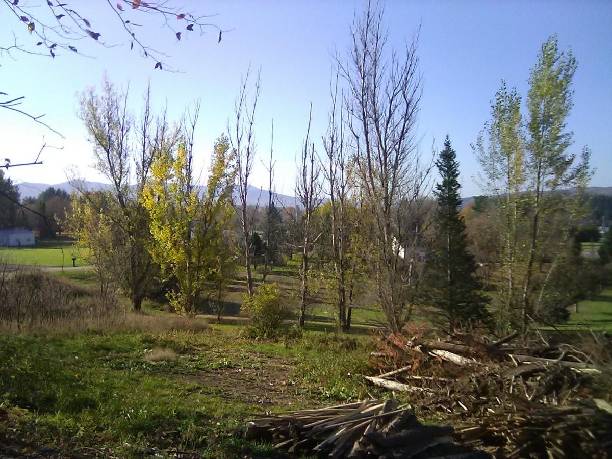 314 Silver Ridge Road Morristown, VT 05661 - Photo 6 of 6