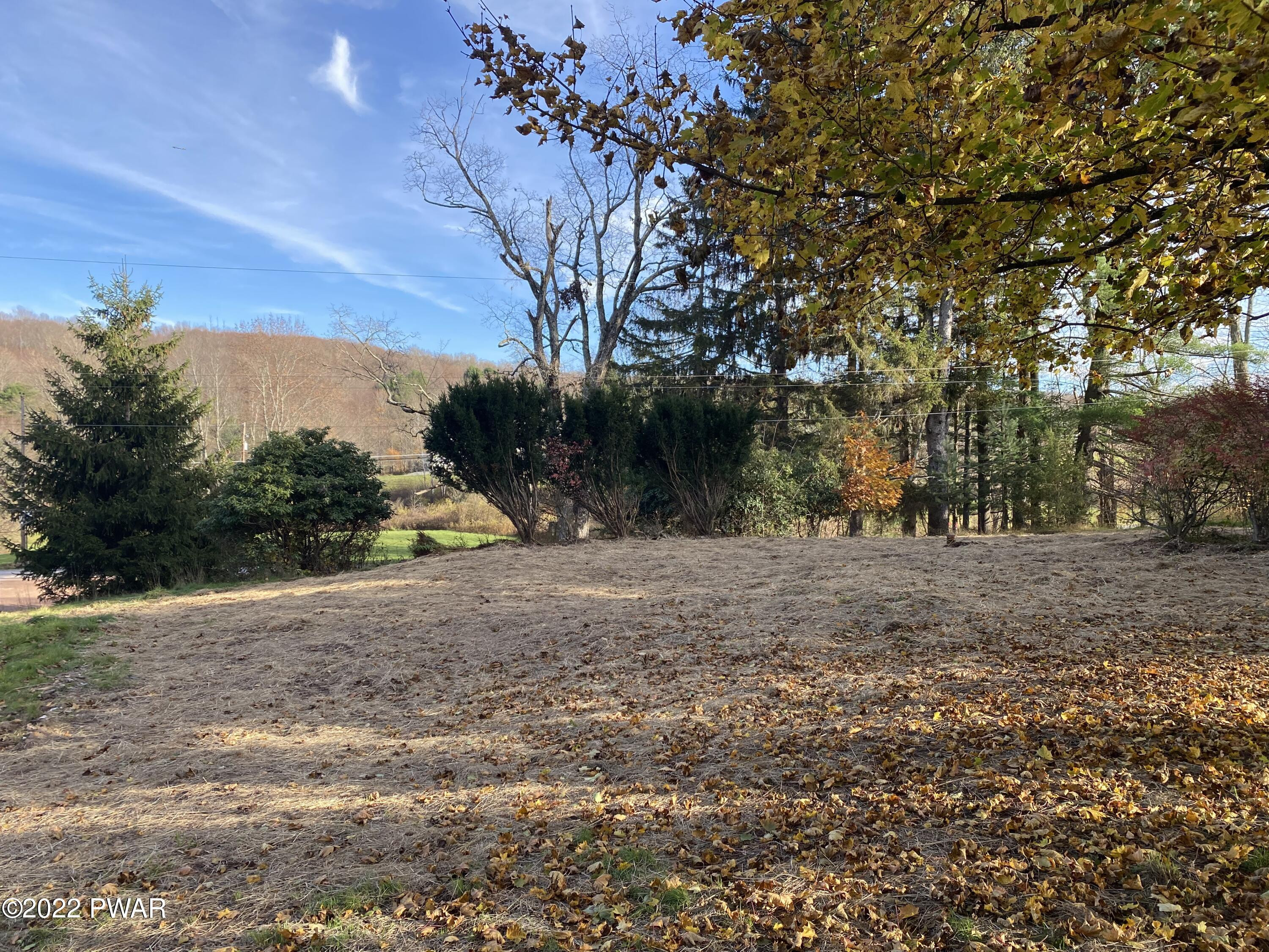 186 Pflaster Road Damascus, PA 18415 - Photo 2 of 12