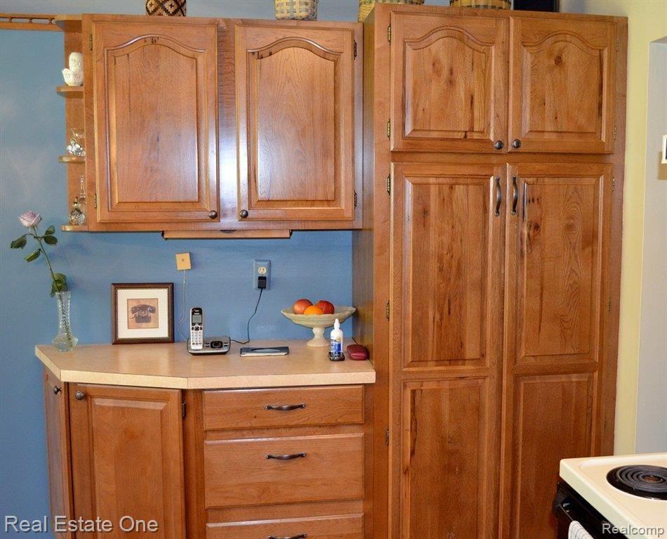 3453 East Sutton Road Dryden, MI 48428 - Photo 8 of 25 Lots of Cabinets