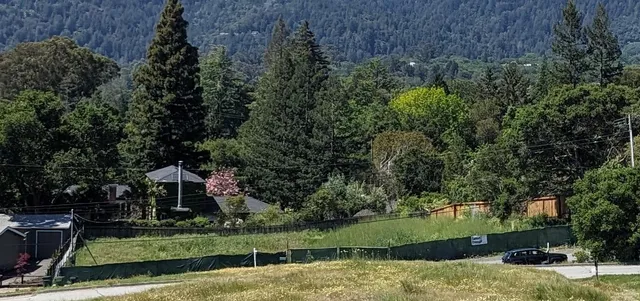 a view of a town with large trees
