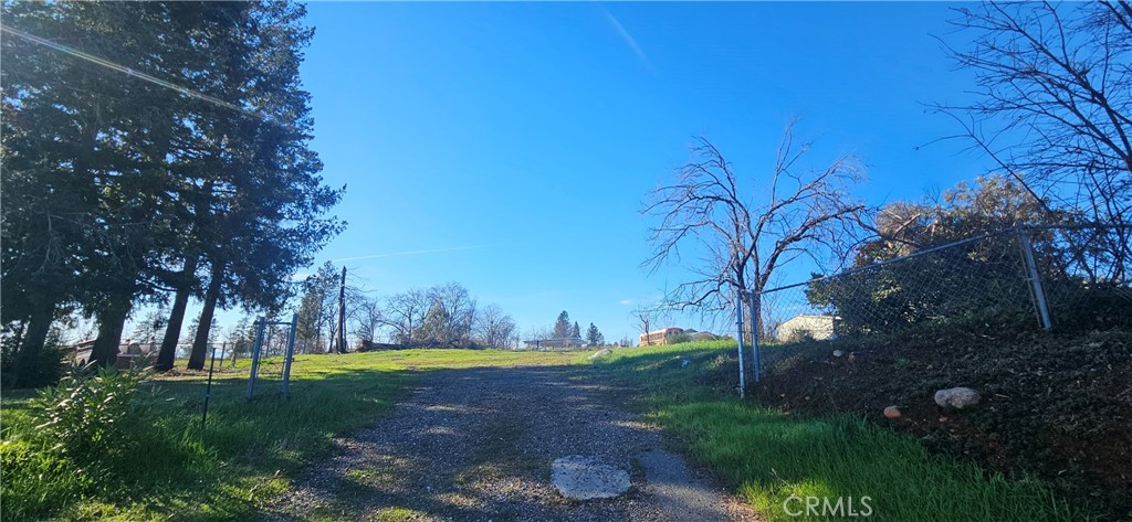 5647 Clark Road Paradise, CA 95969 - Photo 2 of 10 a view of a yard with palm trees