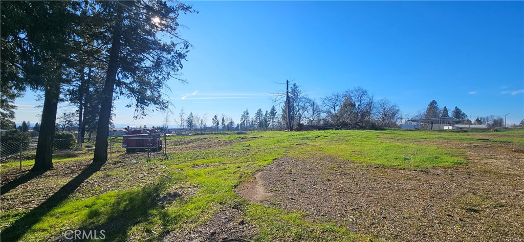 5647 Clark Road Paradise, CA 95969 - Photo 5 of 10 a view of yard with tree