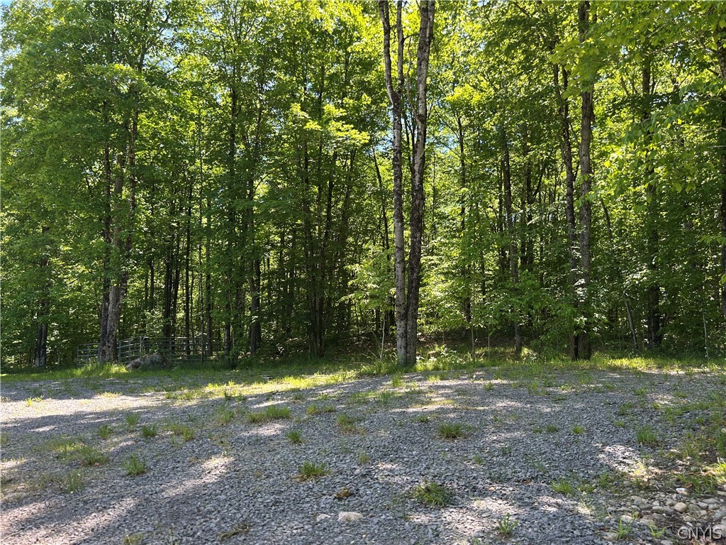 7702 Hiawatha Lake Road Greig, NY 13343 - Photo 8 of 14