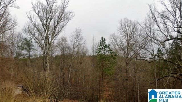 5489 Highway 9 Heflin, AL 36264 - Photo 46 of 50