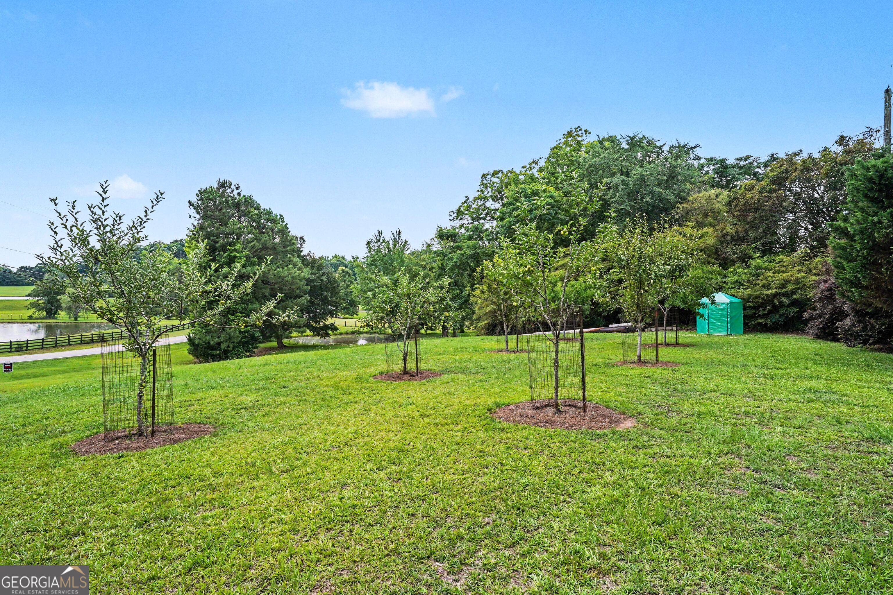 355 Inman Road Hampton, GA 30228 - Photo 41 of 47