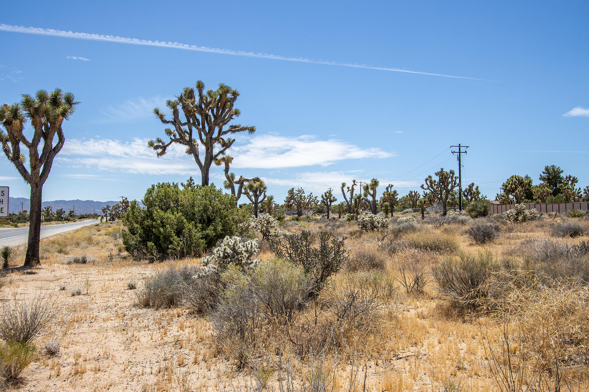 5020 Old Woman Springs Road Yucca Valley, CA 92284 - Photo 11 of 19 IMG_9352