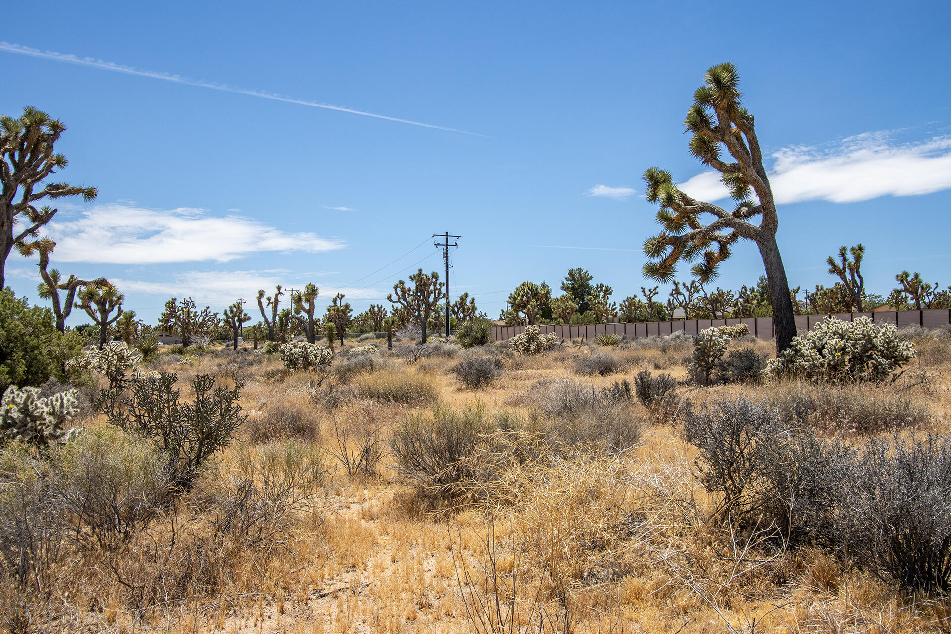 5020 Old Woman Springs Road Yucca Valley, CA 92284 - Photo 18 of 19 IMG_9355