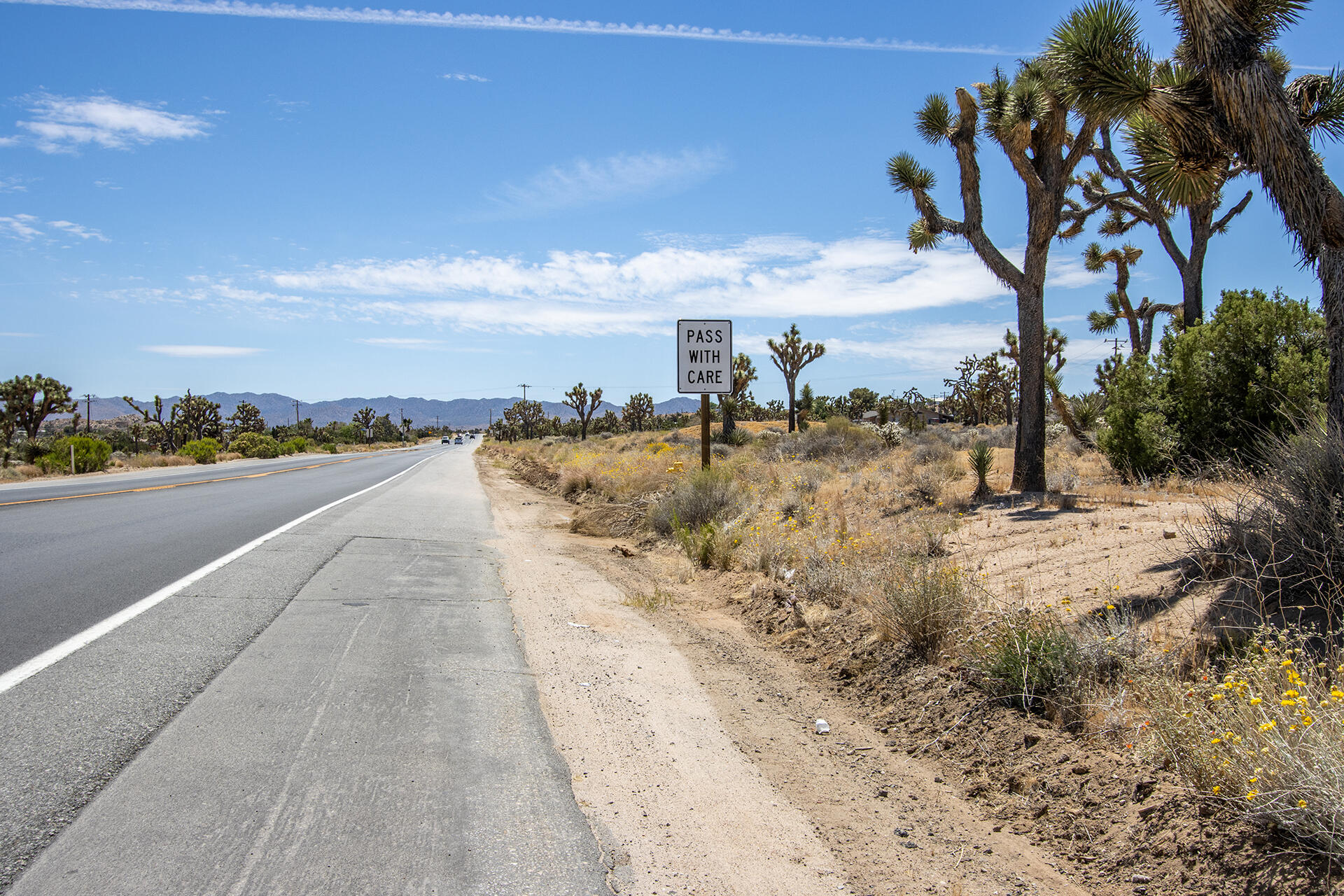 5020 Old Woman Springs Road Yucca Valley, CA 92284 - Photo 19 of 19 IMG_9349