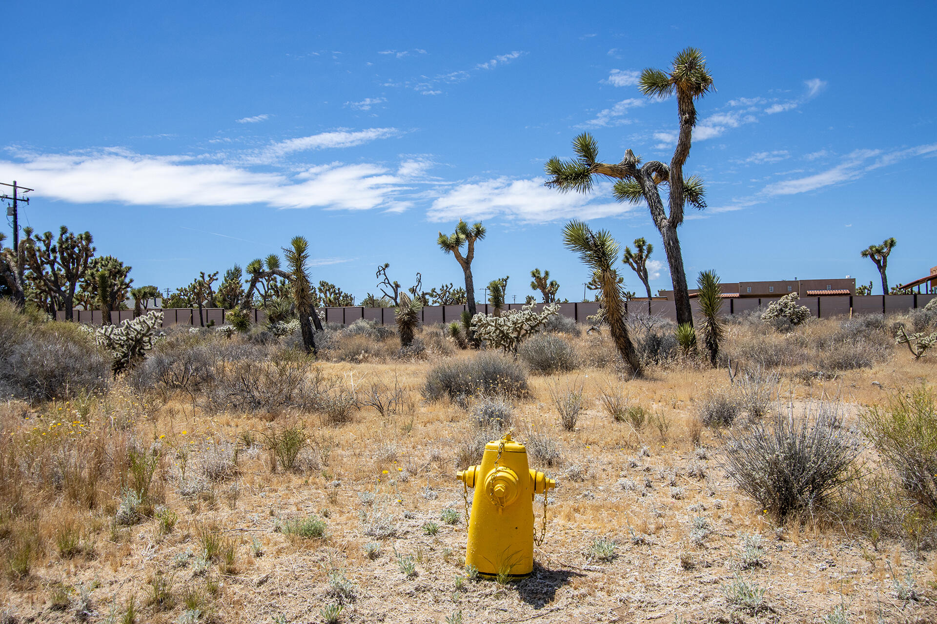5020 Old Woman Springs Road Yucca Valley, CA 92284 - Photo 3 of 19 IMG_9356