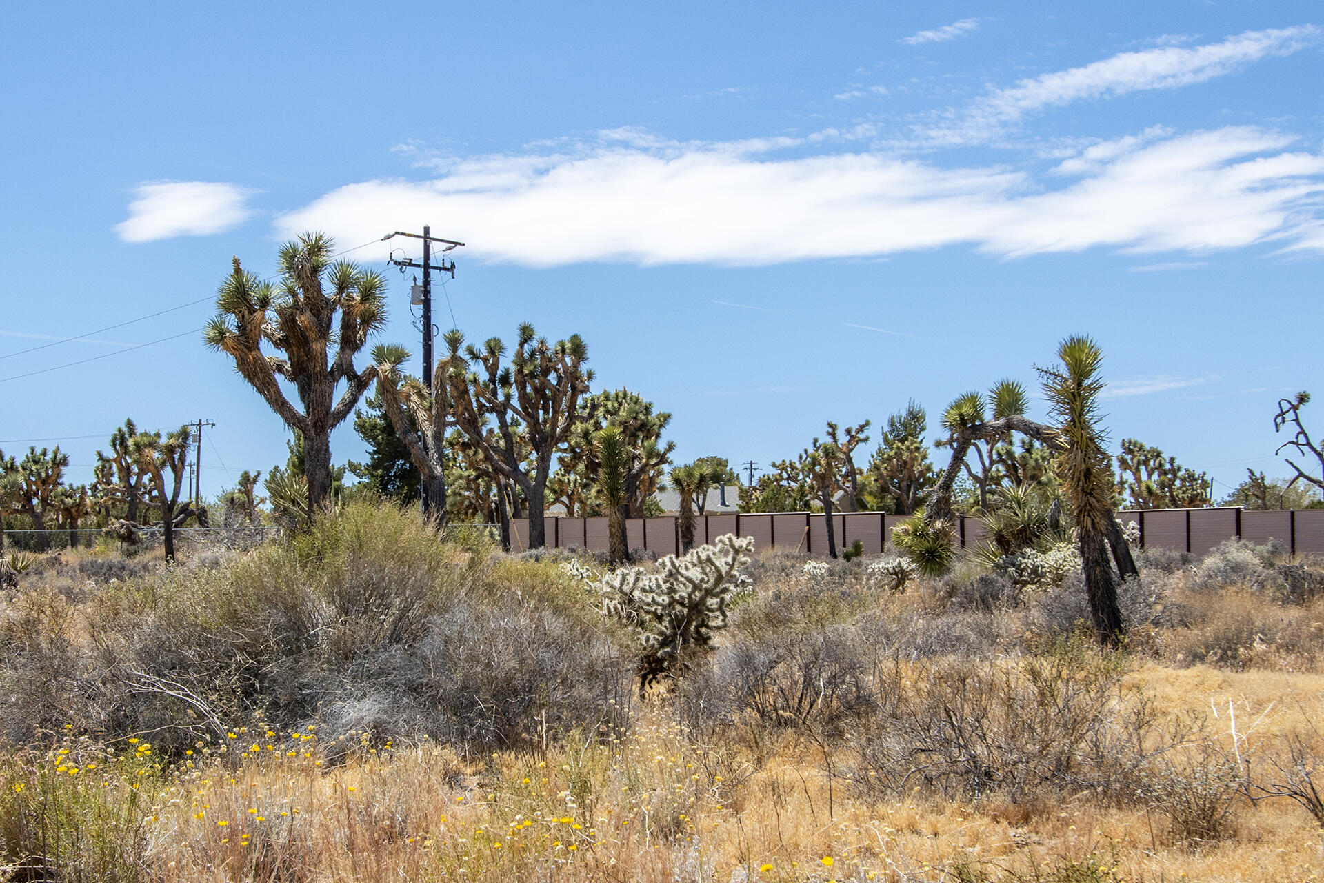 5020 Old Woman Springs Road Yucca Valley, CA 92284 - Photo 6 of 19 IMG_9357