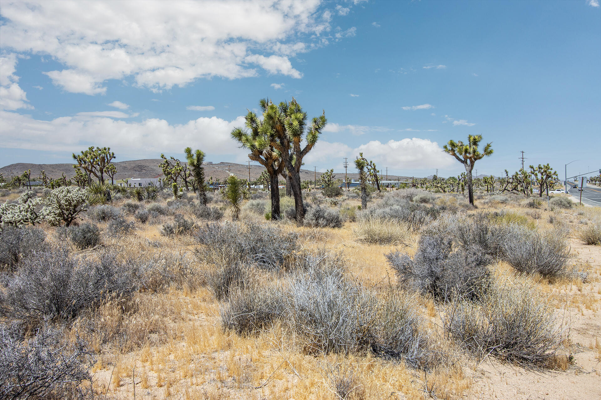 5020 Old Woman Springs Road Yucca Valley, CA 92284 - Photo 7 of 19 IMG_9354