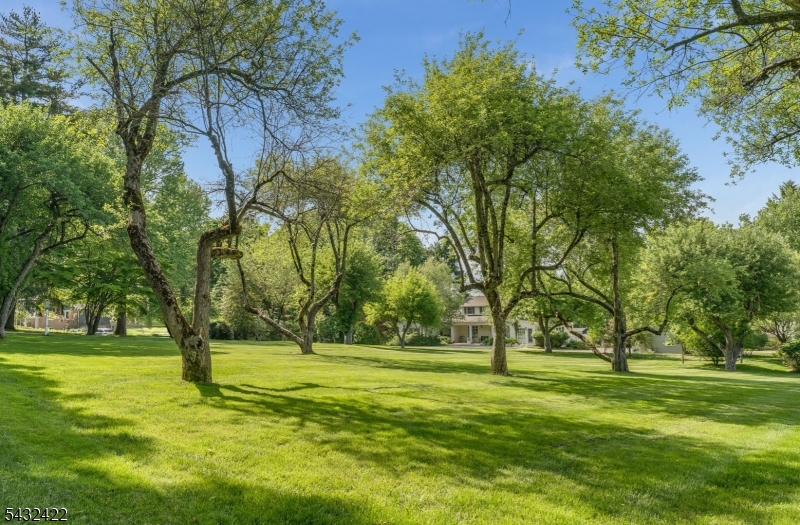 11 New Street Mendham, NJ 07945 - Photo 32 of 35 a huge green field with lots of trees
