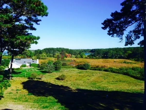 a view of lake with houses