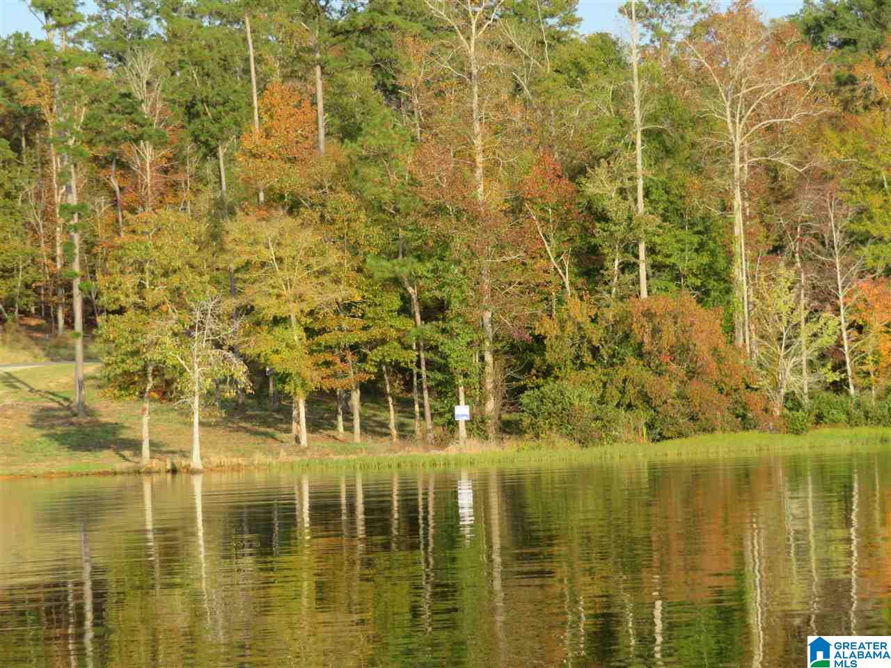 Lot 11 Eagle Mountain Road, Unit 11 Alexander City, AL 35010 - Photo 4 of 11