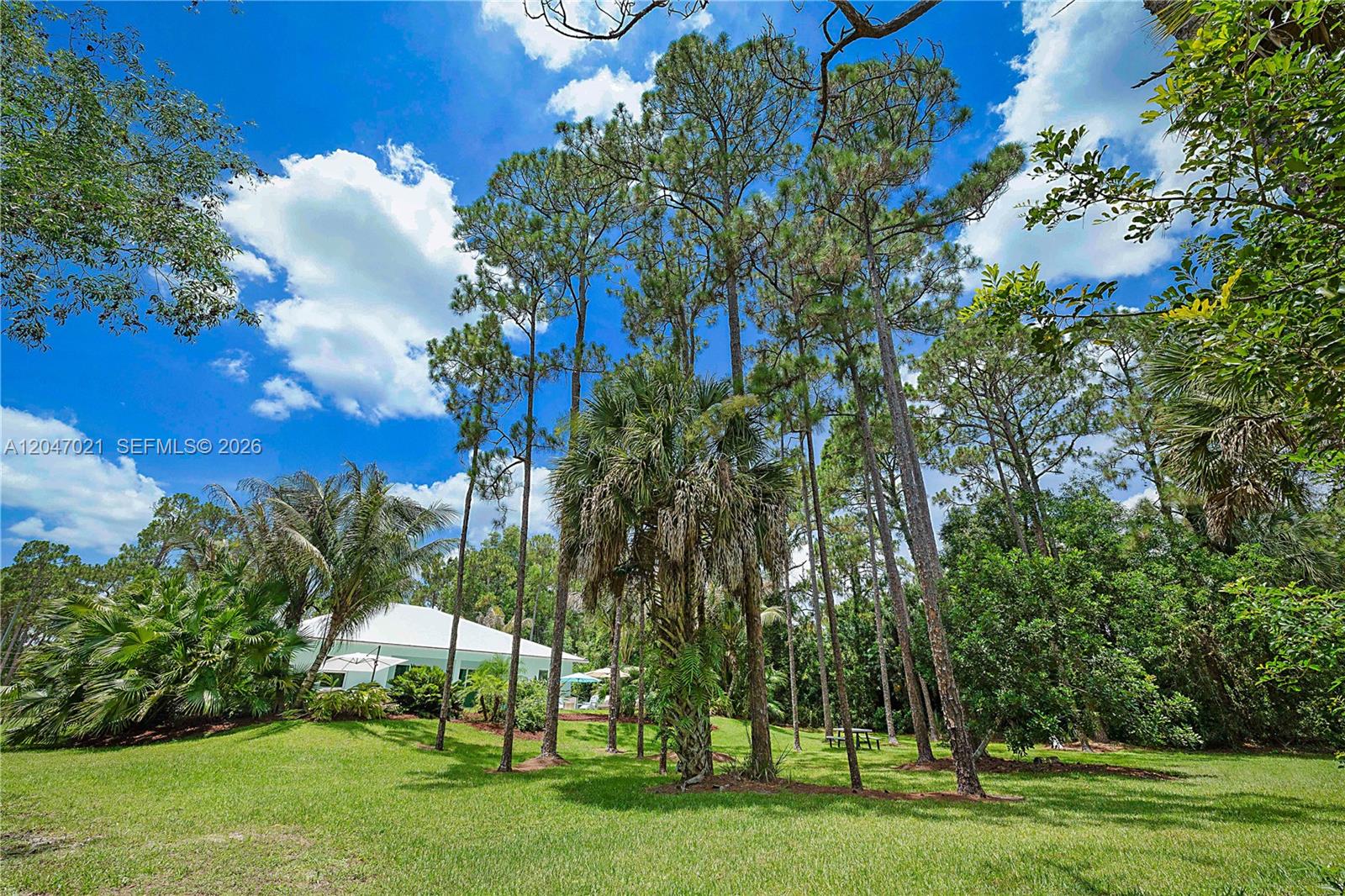 12127 154th Road North Jupiter, FL 33478 - Photo 5 of 67