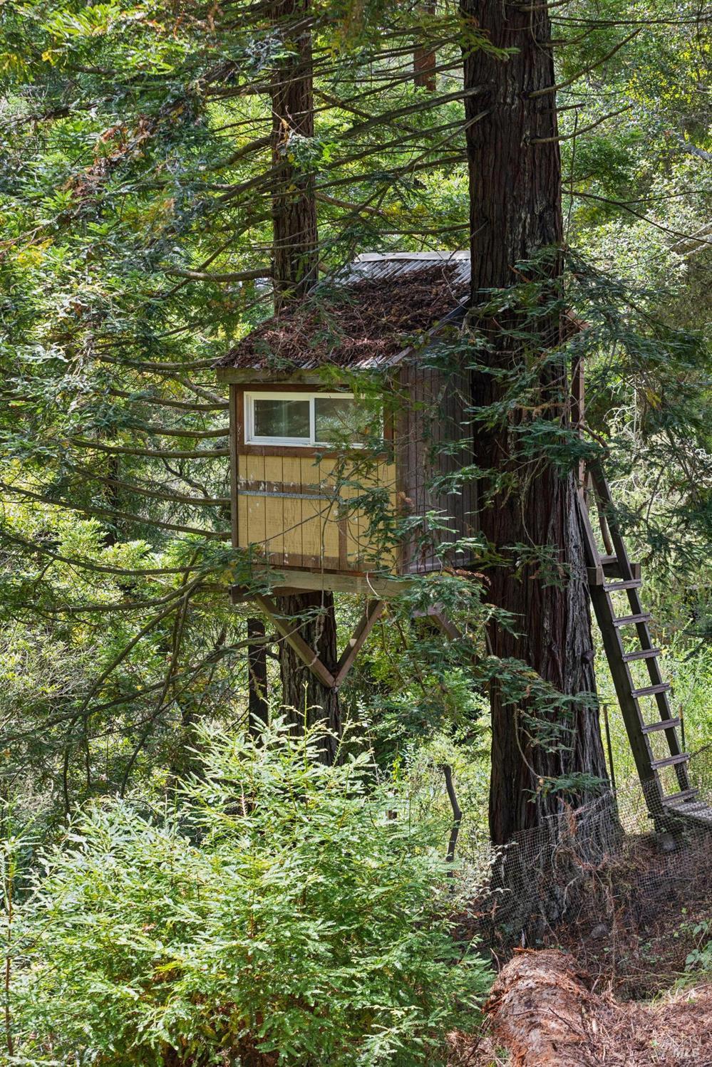 380 Larch Road Bolinas, CA 94924 - Photo 20 of 22 Gallery Image 20