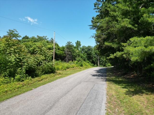 0 Philpott Road Henry, VA 24102 - Photo 2 of 7 a view of a garden