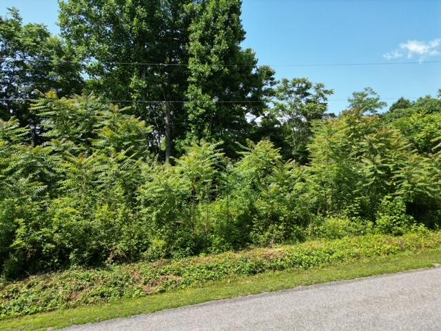 0 Philpott Road Henry, VA 24102 - Photo 3 of 7