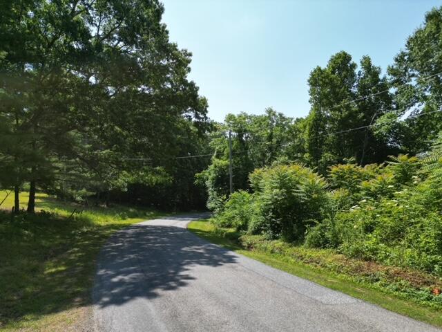 0 Philpott Road Henry, VA 24102 - Photo 5 of 7 a view of a yard with trees