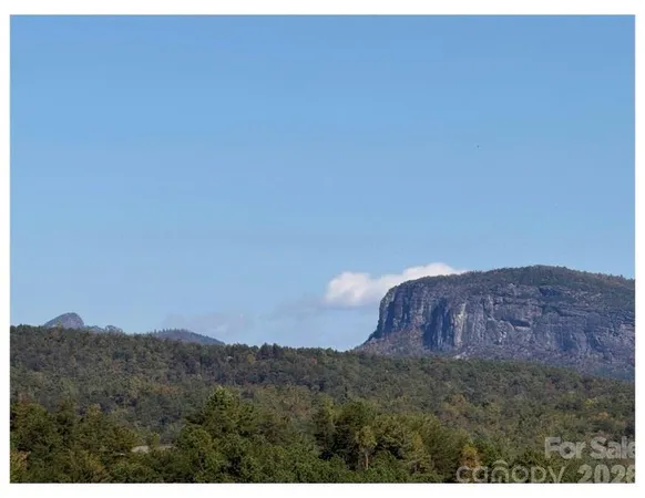 a view of a dry yard with a mountain
