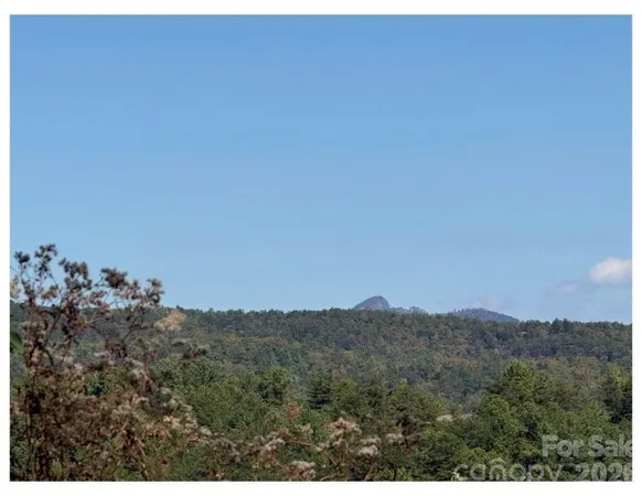 a view of a dry yard with mountain view