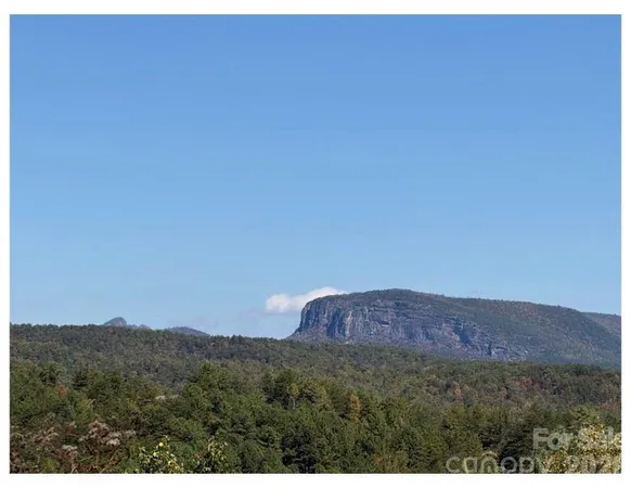 $105,000 | Lot #4 Pisgah Preserve Drive, Nebo, NC 28761