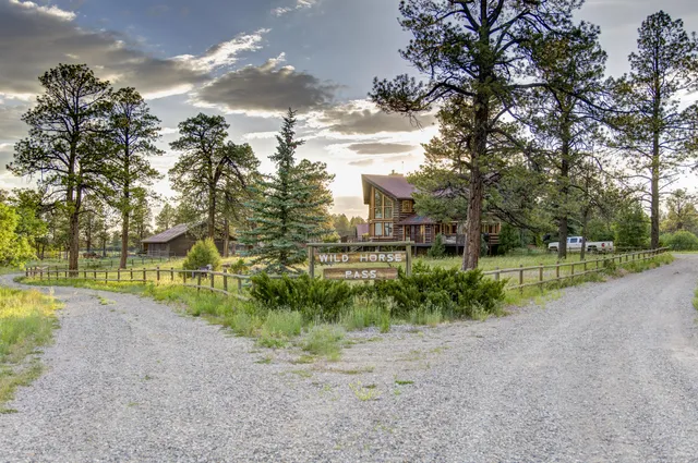 a house with trees in the background