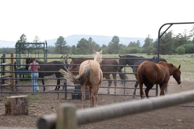 $5,900,000 | 7725 South 44z, Norwood, CO 81423