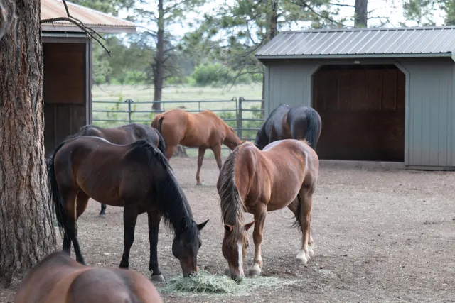 $5,900,000 | 7725 South 44z, Norwood, CO 81423