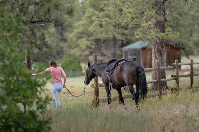 $5,900,000 | 7725 South 44z, Norwood, CO 81423