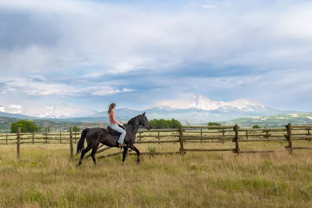 $5,900,000 | 7725 South 44z, Norwood, CO 81423