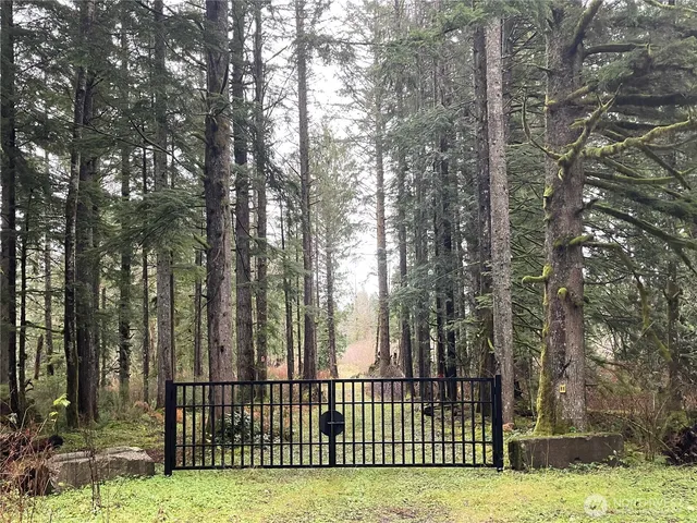 a view of a backyard