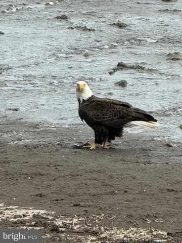 $399,000 | 201 South Sandpiper Drive, Dover, DE 19901