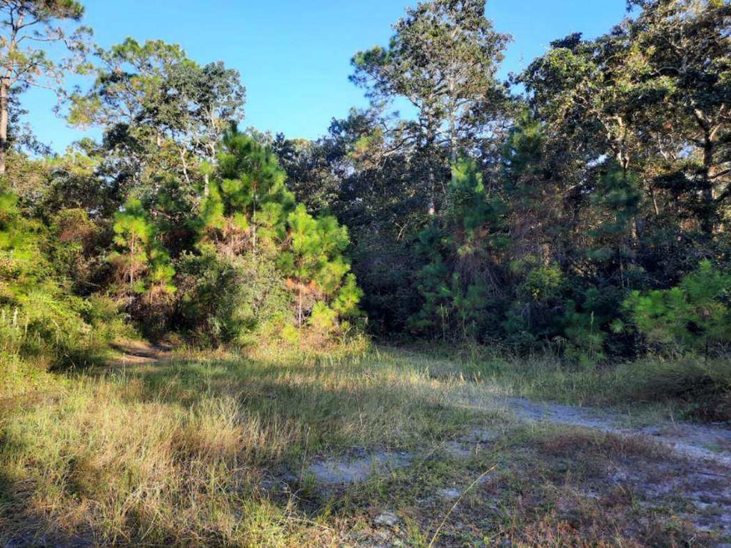 1532 Jacobs Way Carrabelle, FL 32322 - Photo 12 of 15
