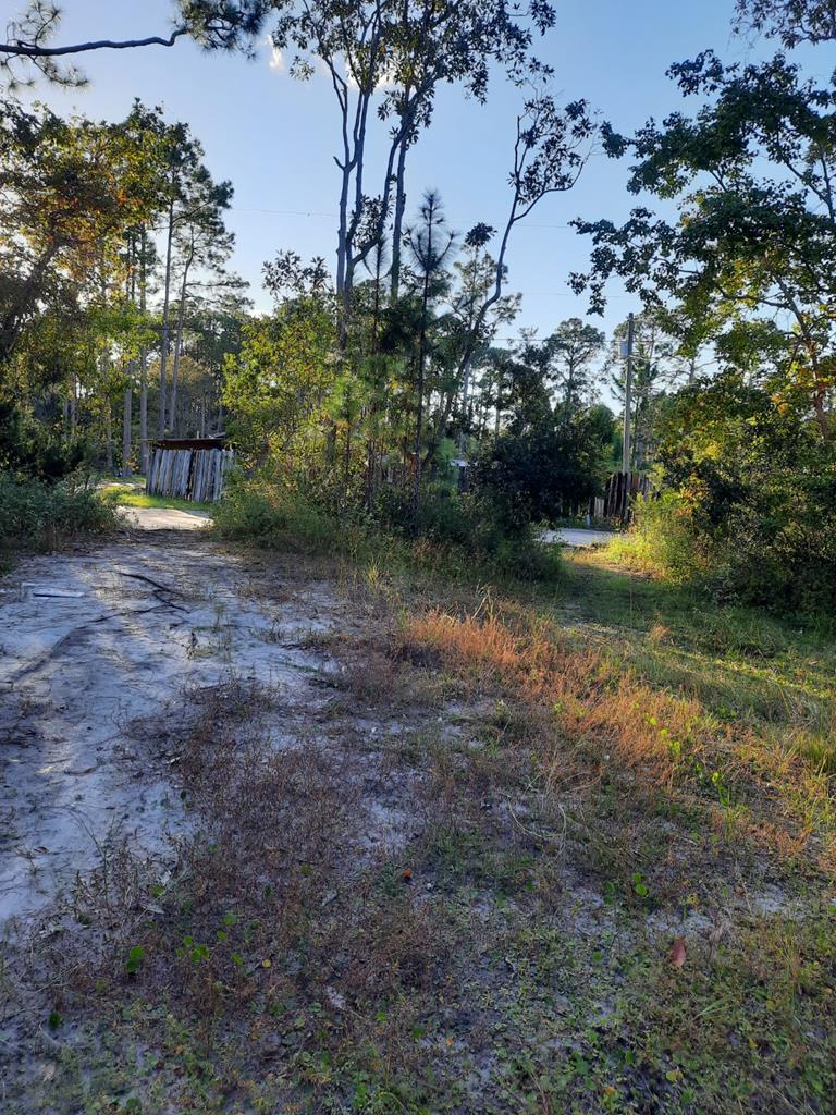 1532 Jacobs Way Carrabelle, FL 32322 - Photo 3 of 15