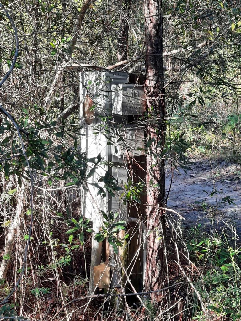 1532 Jacobs Way Carrabelle, FL 32322 - Photo 4 of 15