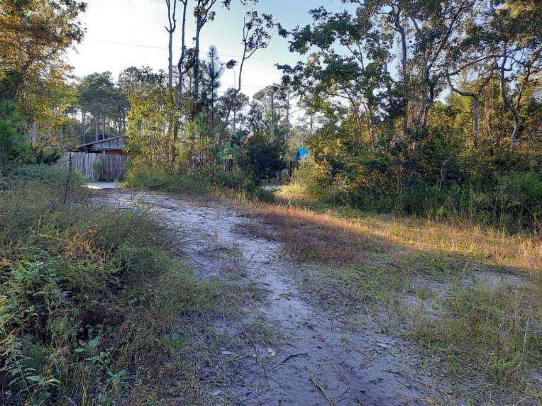 1532 Jacobs Way Carrabelle, FL 32322 - Photo 5 of 15