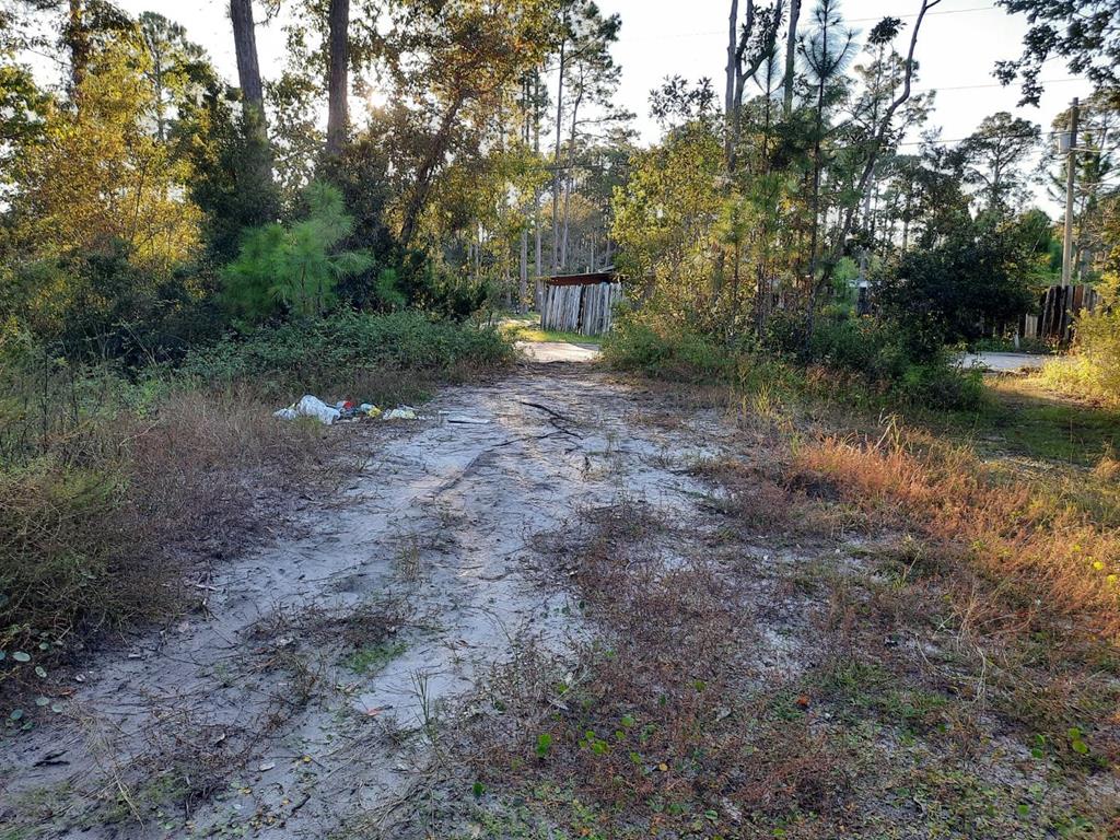1532 Jacobs Way Carrabelle, FL 32322 - Photo 6 of 15