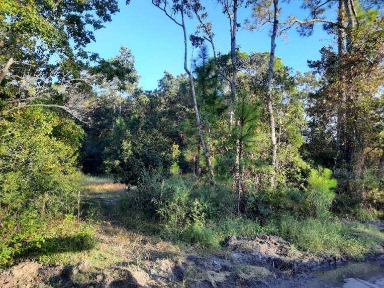 1532 Jacobs Way Carrabelle, FL 32322 - Photo 7 of 15