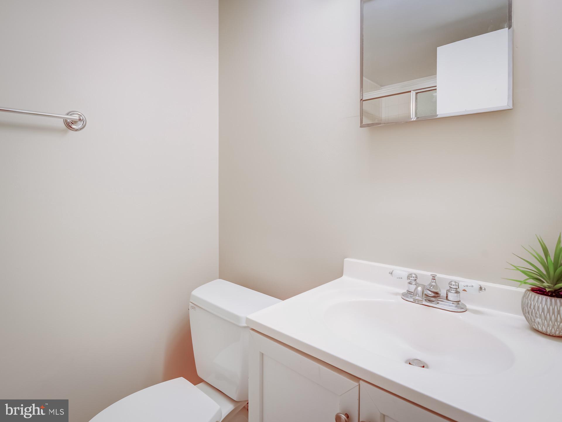 2243 Castle Rock Square, Unit 1B Reston, VA 20191 - Photo 16 of 20 Master Bathroom with Stand in Shower