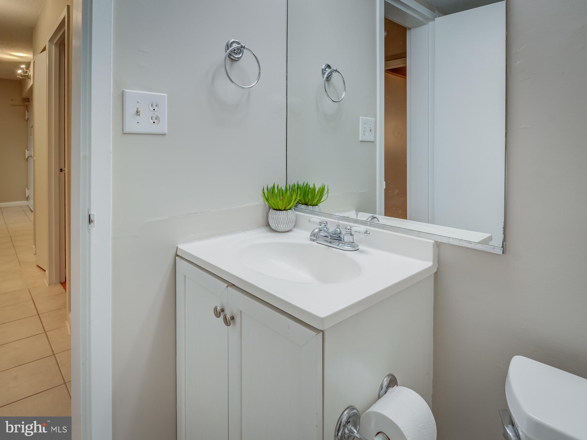 2243 Castle Rock Square, Unit 1B Reston, VA 20191 - Photo 19 of 20 Hall Bathroom