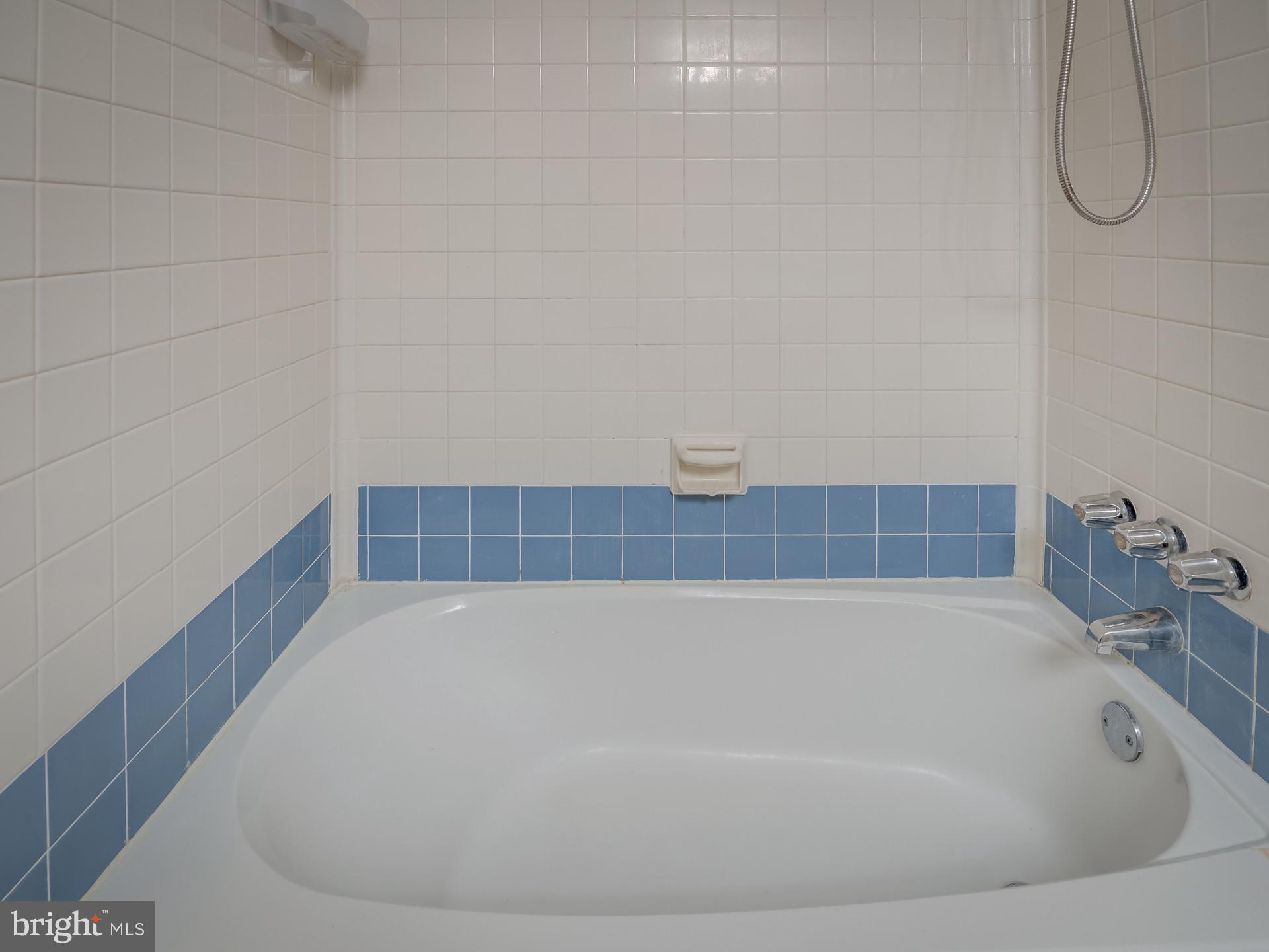 2243 Castle Rock Square, Unit 1B Reston, VA 20191 - Photo 20 of 20 Hall Bathroom with Bathtub