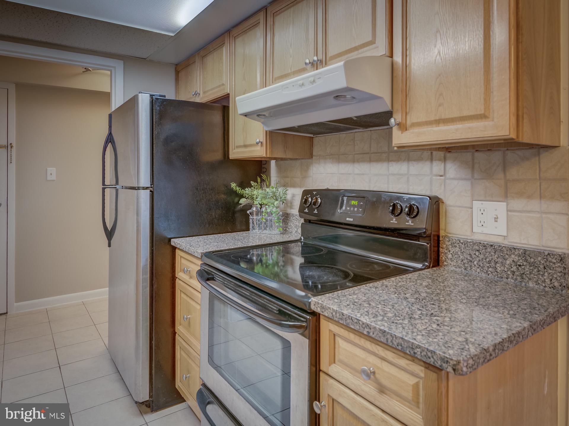 2243 Castle Rock Square, Unit 1B Reston, VA 20191 - Photo 5 of 20 Updated Kitchen with Granite Counters